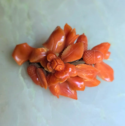 Antique Victorian Carved Mediterranean Coral Acorn, Roses and Leaves Brooch with Pendant