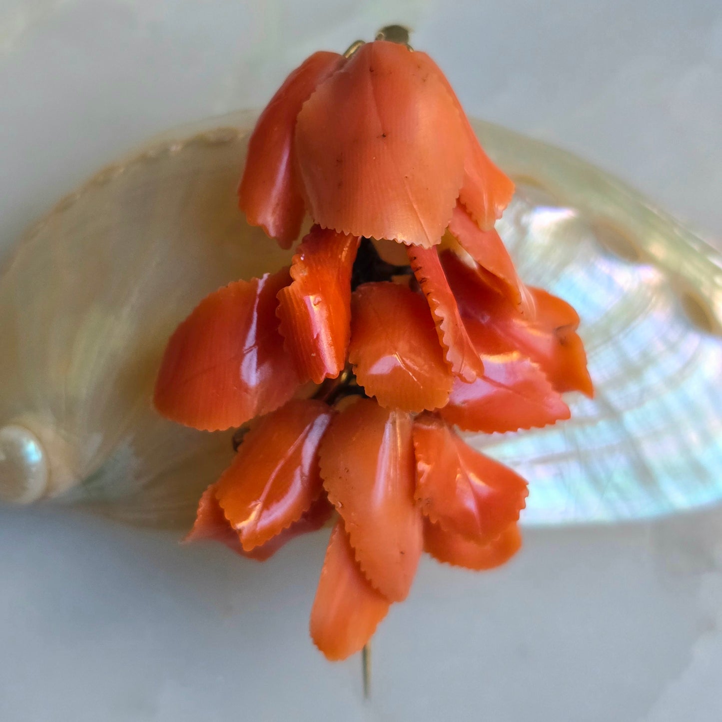 Antique Victorian Carved Coral Leaf Brooch