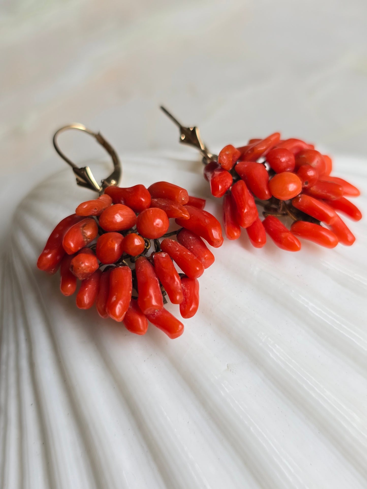Antique Victorian Mediterranean Coral Cluster Earrings