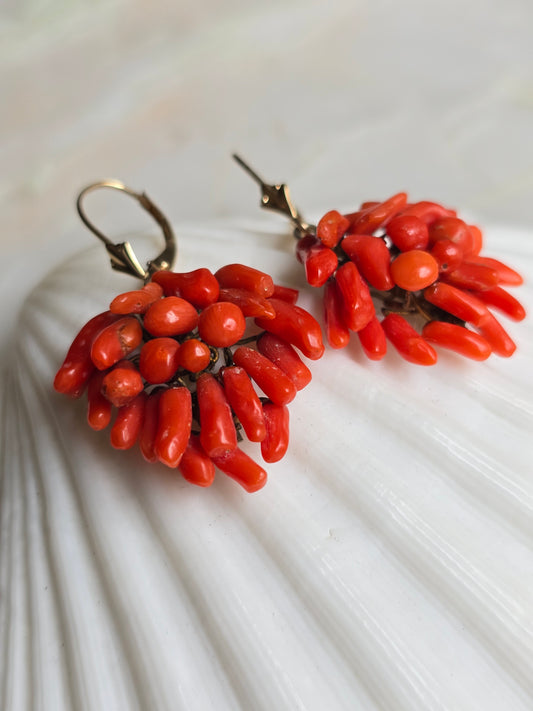 Antique Victorian Mediterranean Coral Cluster Earrings