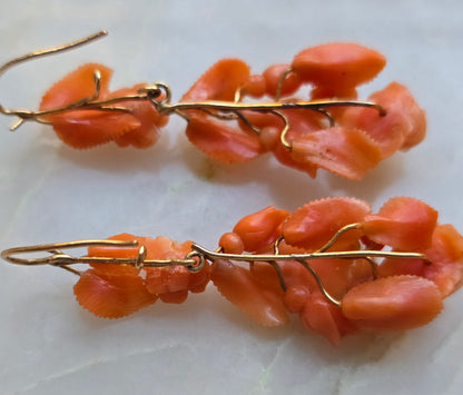 Antique Victorian Carved Salmon Coral Rose Earrings