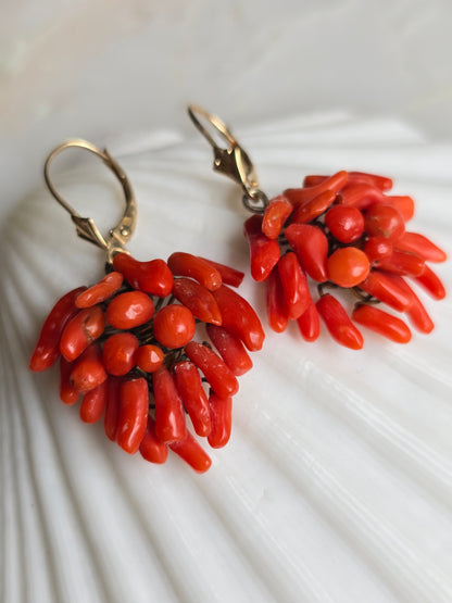 Antique Victorian Mediterranean Coral Cluster Earrings