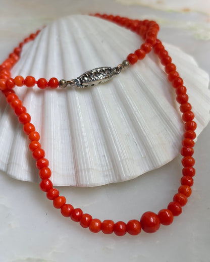 Antique Edwardian Red Mediterranean Coral Graduated Bead Necklace