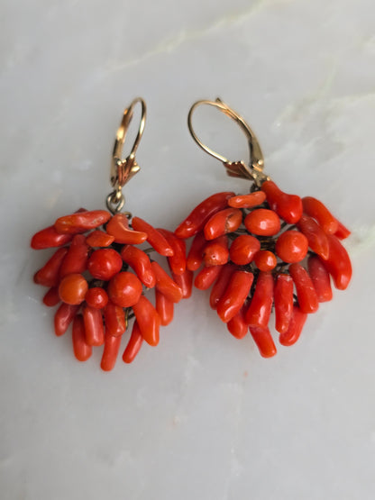 Antique Victorian Mediterranean Coral Cluster Earrings