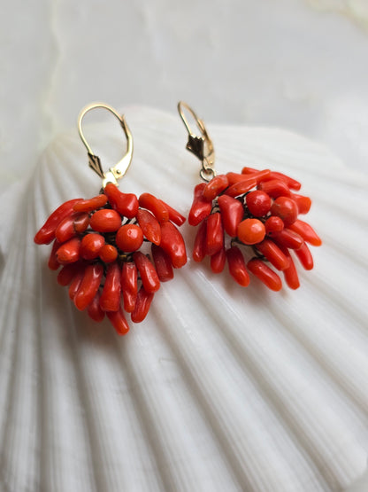 Antique Victorian Mediterranean Coral Cluster Earrings